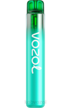 VOZOL Nikotinfri - VOZOL NEON 800 blå mojito 4JVJ264
