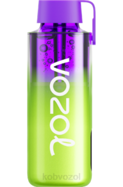VOZOL Pris - VOZOL NEON 10.000 vandmelon is 4JVJ241
