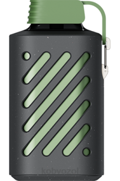VOZOL Vape Rabat - VOZOL GEAR 10.000 sur æbleis 4JVJ308