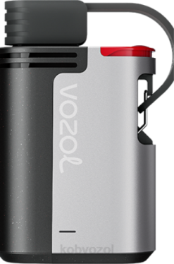 VOZOL Vape Rabat - VOZOL GEAR 4000c/6000 blå razz is 4JVJ322