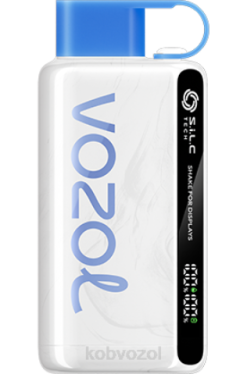 VOZOL Vape Rabat - VOZOL STAR 9000/12000 blå razz is 4JVJ21