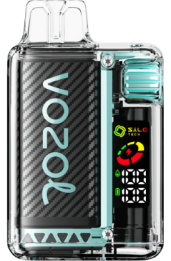 VOZOL Vape Rabat - VOZOL VISTA 16000/20000 sur æbleis 4JVJ14