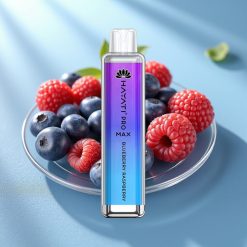 Hayati Pro Max 4000 Puffs Dual Mesh Coil Blåbær Hindbær Rechargeable TPD